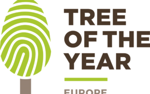 Konkurs na Europejskie Drzewo Roku 2020 trwa tylko do końca lutego!