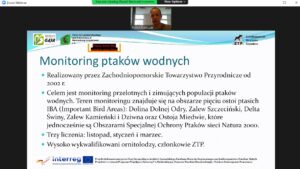 „Unifikacja systemu monitoringu ornitologicznego w polskiej i niemieckiej części regionu Zalewu Szczecińskiego” – relacja z webinarium