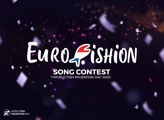Konkurs Piosenki EuroFishion!