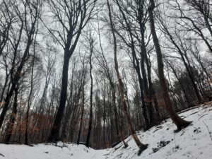 Ostatnie zimowe zdjęcia z "Doliny Miłości"