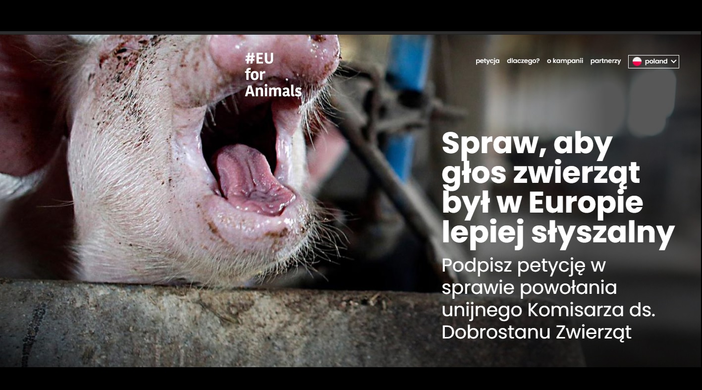 Spraw, aby głos zwierząt był w Europie lepiej słyszalny!