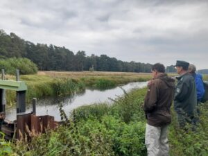 Rewilding Oder Delta – nowe pomysły dla transgranicznej ochrony przyrody