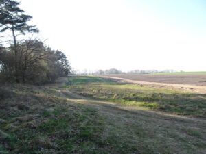 Wyspa Chrząszczewska – Natura 2000 Zalew Kamieński i Dziwna PLB320011