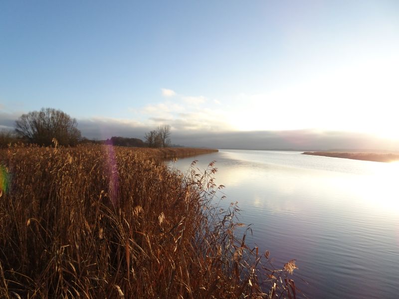 Rzeka Dziwna - Natura 2000 Zalew Kamieński i Dziwna PLB320011