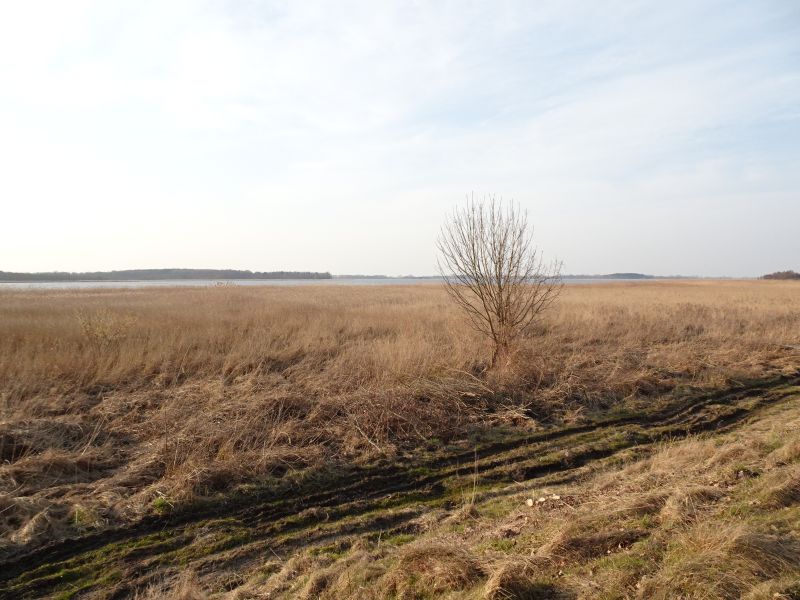 Jezioro Koprowo – Natura 2000 Zalew Kamieński i Dziwna PLB320011