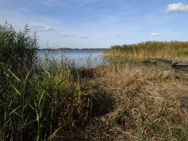 Obszar Natura 2000 Zalew Kamieński i Dziwna PLB320011 ma tymczasowe cele ochrony