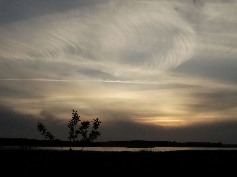 Zalew Kamieński i Dziwna – ostoja ptaków o znaczeniu europejskim