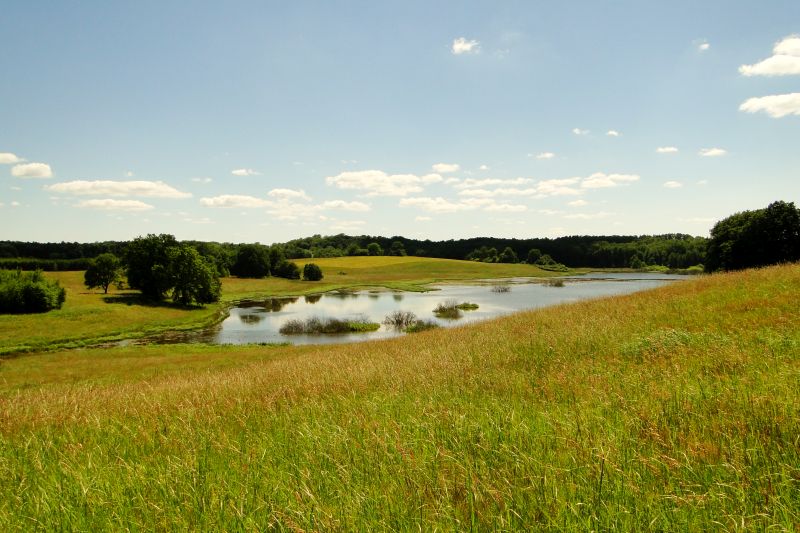 Konferencja The European Green Belt – A Model for Biodiversity and European Cooperation (ReCo)