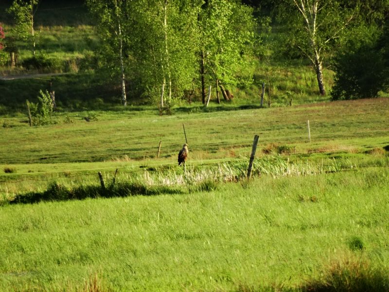 Europejskie Dni Zielonego Pasa – święto natury i współpracy