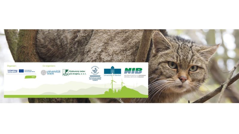 Zaproszenie na Konferencję Naukową ReCo – 5 grudnia 2025 r.