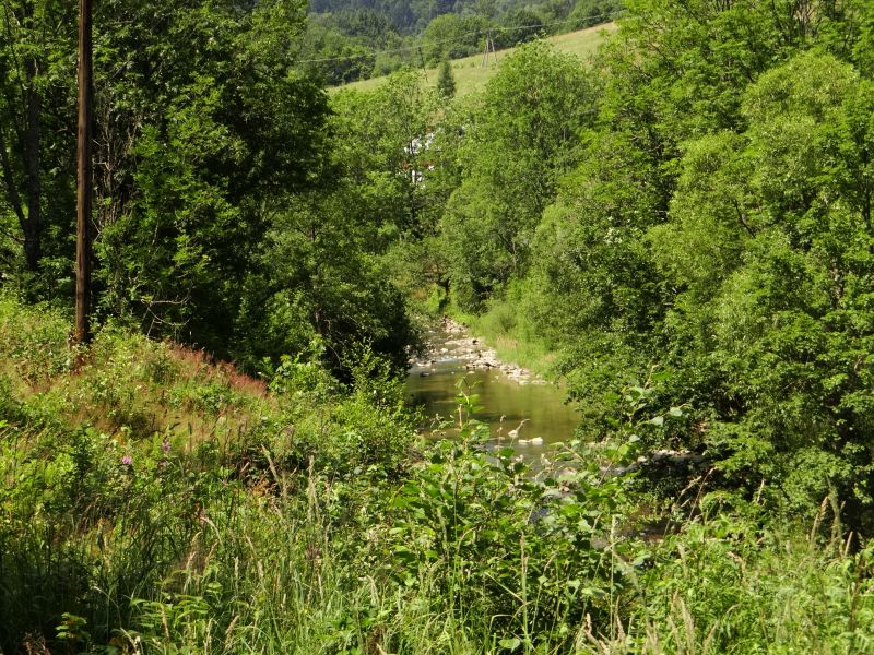 Zaproszenie do udziału w cyklu spotkań dot. Narodowy Program Leśny