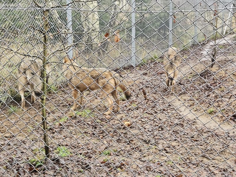 Wizyta przedstawicielki czeskiego Ministerstwa Środowiska w ramach projektu ReCo