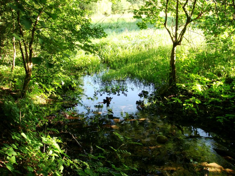 Światowy Dzień Mokradeł 2026 Światowy Dzień Mokradeł 2026