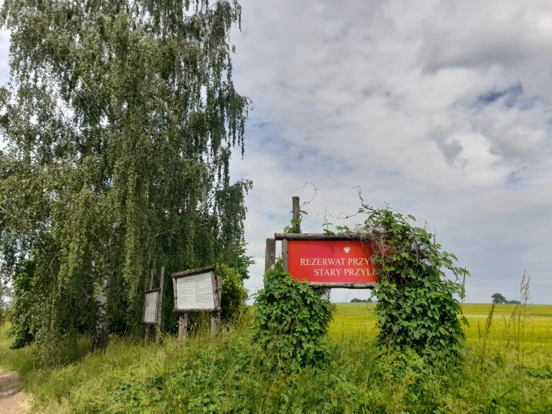 Przyrodnicy alarmują: „lex Romowicz” może zablokować nowe rezerwaty Przyrodnicy alarmują: „lex Romowicz” może zablokować nowe rezerwaty